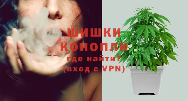 PSILOCYBIN Лиски