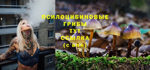 кокс Ладушкин