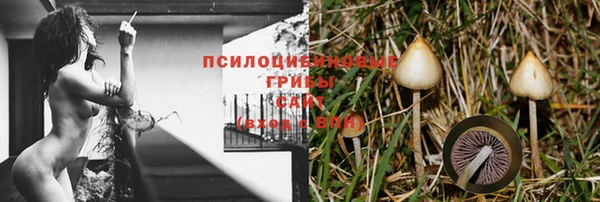 PSILOCYBIN Лиски