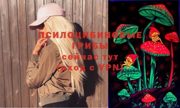 PSILOCYBIN Лиски